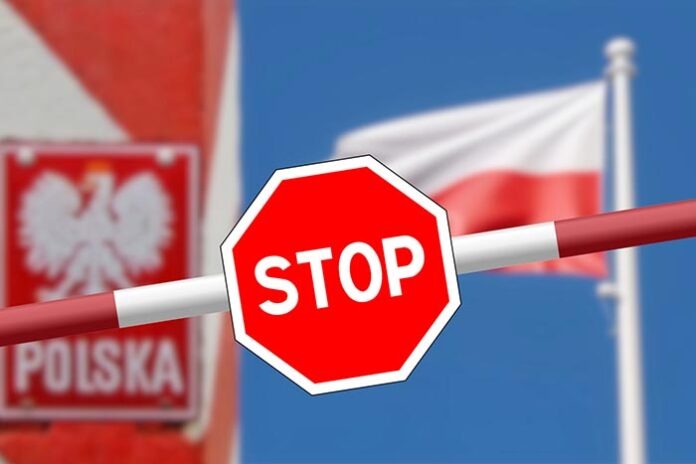 stadtratte - Depositphotos