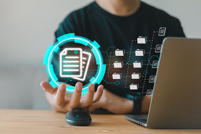 Document Management System (DMS). Corporate business technology.