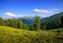 Карпаты стали чёрным маршрутом в ЕС