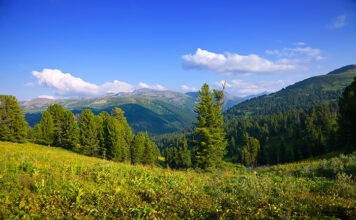 Карпаты стали чёрным маршрутом в ЕС