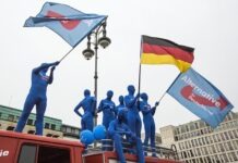 Власти Германии боятся AfD