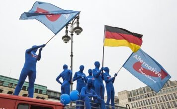 Власти Германии боятся AfD