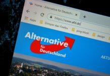 AfD готовит масштабную чистку чиновников в Саксонии-Анхальт
