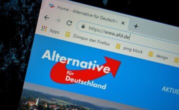 AfD готовит масштабную чистку чиновников в Саксонии-Анхальт