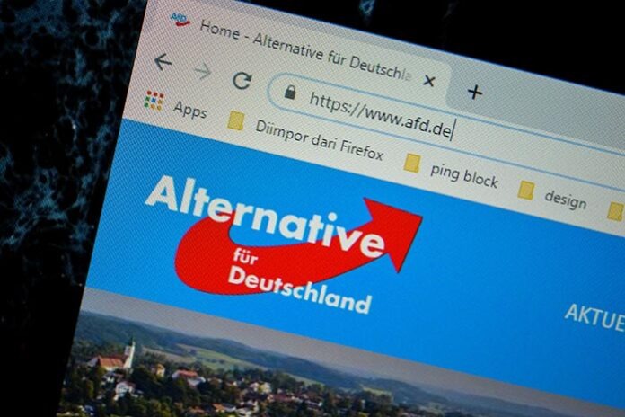 Alternative fur Deutschland - AFD website home page on computer