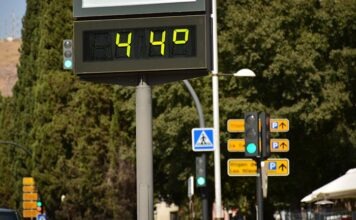 Жара нанесла Германии многомиллиардный ущерб