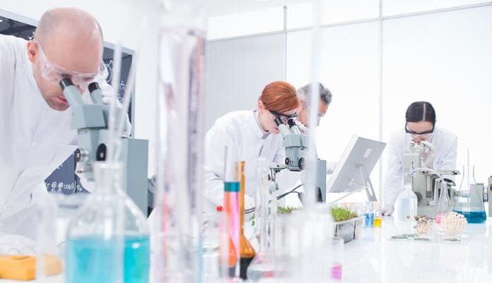 people working in chemistry lab