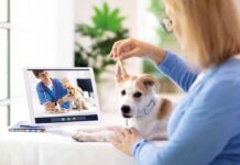 Ветеринар по видеосвязи: спасение животных или дорогая иллюзия помощи?