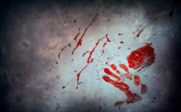 Нападение в гимназии в Баварии: две школьницы тяжело ранены