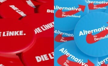 AfD и Die Linke: чем различаются позиции по миграции, налогам и безопасности