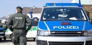 Обыски в Германии и Австрии: предпринимателей подозревают в поставках автомобилей в Россию